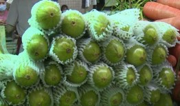 每天吃葫芦瓜,健康生活每一天