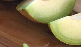 花瓣公司吃瓜,揭秘吃瓜背后的职场风云