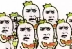 吃瓜群众专属标语