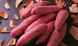 晚上吃土瓜,营养美味，健康生活新选择