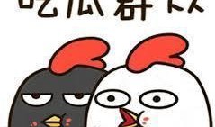 进群吃瓜bili,一场网络社交的狂欢盛宴