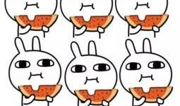 进群吃瓜bili,一场网络社交的狂欢盛宴