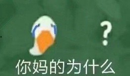 吃隔夜瓜搞笑文案,一场关于隔夜瓜的欢乐盛宴