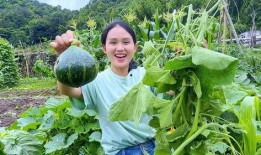 吃瓜叶夕雾,一场吃瓜引发的奇幻之旅