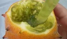 厦门刺角瓜怎么吃,厦门刺角瓜的多样食法探索