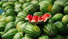 吃瓜了么,吃瓜了么带你领略明星幕后故事