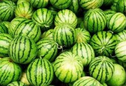 免费吃瓜是什么感觉,揭秘那份独特的愉悦感