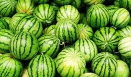 免费吃瓜是什么感觉,揭秘那份独特的愉悦感