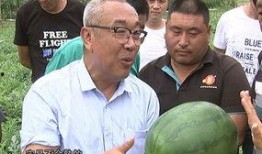 吃瓜群众博士,揭秘娱乐圈背后的真相与内幕