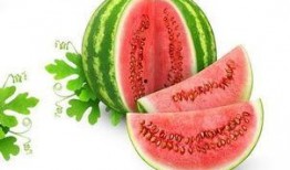 星然吃瓜后续,揭秘娱乐圈背后的真相与反转