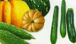 吃瓜也香,揭秘瓜界美食的诱惑与魅力