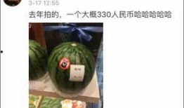 吃块瓜,吃块瓜，清凉一夏