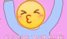 emoji小黄脸吃瓜,揭秘网络表情背后的趣味与情感