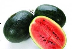 广西有啥瓜吃,广西特色瓜果品鉴之旅