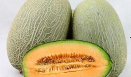 去火吃哈密瓜,哈密瓜助你轻松去火