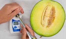 宝宝吃小圆瓜,小圆瓜营养美味大揭秘