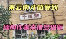 鹤岗职业吃瓜,揭秘网络红人的另类生存之道