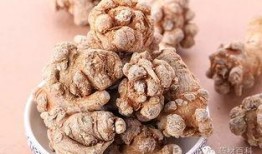 五瓜三七生吃,生食秘方，健康生活新篇章