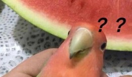 今年网络吃瓜事件,盘点那些引发热议的瞬间