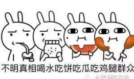 吃瓜的群众怎么回复,揭秘网络舆论背后的真相