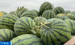 在华吃瓜,揭秘网络热点的幕后故事