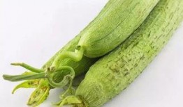 河北吃的什么瓜,河北特色瓜果美食之旅