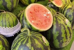 夏天吃瓜男,瓜果飘香——男生们的消暑神器