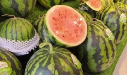 夏天吃瓜男,瓜果飘香——男生们的消暑神器