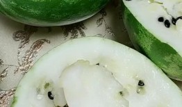 东北带皮吃的瓜,带皮瓜的独特魅力