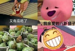 怎么制作吃瓜pdf,一招轻松学会制作吃瓜PDF教程