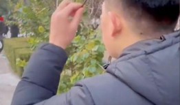 有人吵架时吃瓜,一幕幕“瓜”事引发热议