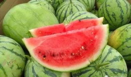 今日吃瓜每日大瓜网红,揭秘“吃瓜每日大瓜”背后的热门事件