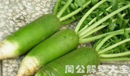 女人梦见别人在吃瓜,女人窥见他人吃瓜背后的寓意解析