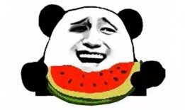 吃瓜群众吖代号,网络红人的崛起与影响力