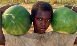 黑毛吃瓜,揭秘神秘瓜果背后的故事