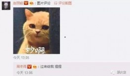 吃瓜的群众怎么回复,揭秘网络舆论背后的真相