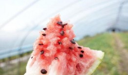 吃瓜盲盒市场,潮流与争议并存