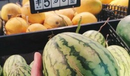 欣怡吃瓜,揭秘娱乐圈幕后故事