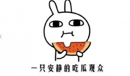 吃瓜的情境,一场全民参与的娱乐盛宴