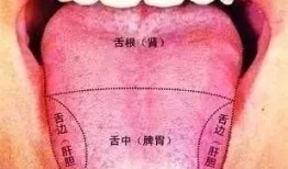 吃瓜尖舌头会黑,吃瓜尖舌头变黑之谜