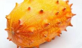 厦门刺角瓜怎么吃,厦门刺角瓜的多样食法探索