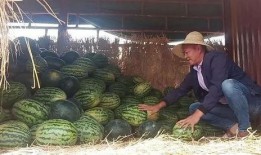 临海吃瓜群众新闻,吃瓜群众聚焦最新新闻事件