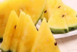 吃一口锡瓜,尽享甜蜜滋味