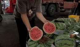 莱阳宝山小区吃瓜,一场吃瓜盛宴背后的邻里温情