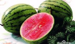 清凉夏日吃瓜,瓜果飘香——畅享夏日美味时光