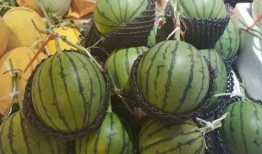 吃一口锡瓜,尽享甜蜜滋味