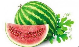 适合冬季吃的瓜,甜蜜满园——冬季适宜食用的瓜类盘点