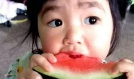宝宝吃小圆瓜,小圆瓜营养美味大揭秘