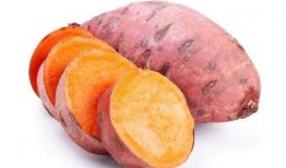 梦见吃地瓜囊瓜,地瓜囊瓜的奇幻之旅