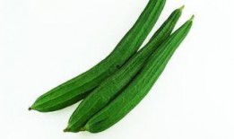 穿越吃瓜女6,揭秘古代宫廷秘闻